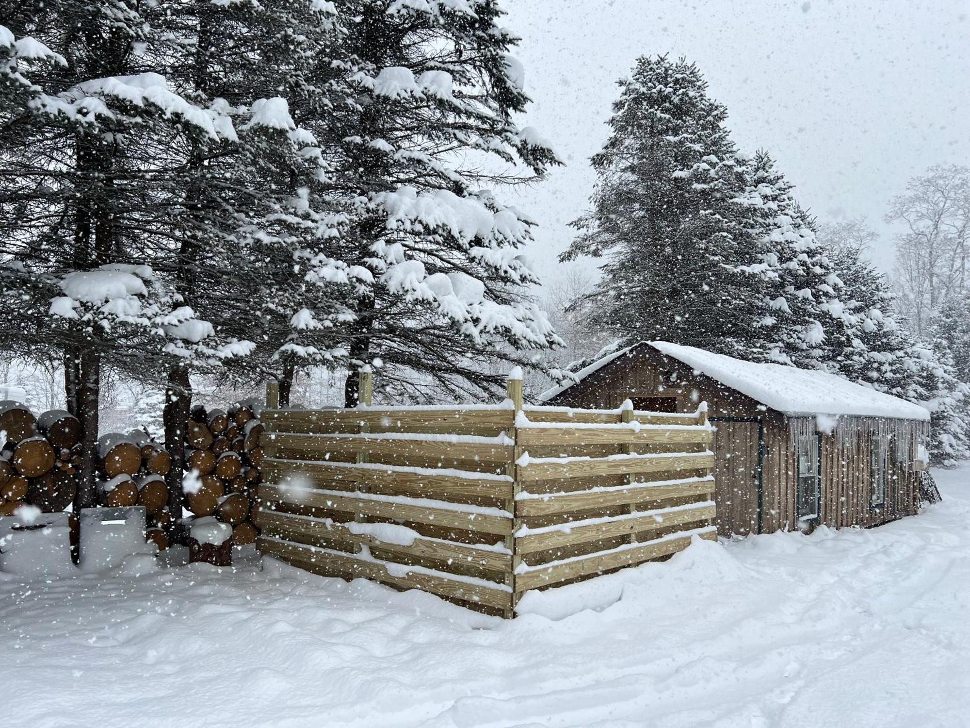 Timberline Lodge Ellicottville Dış mekan fotoğraf